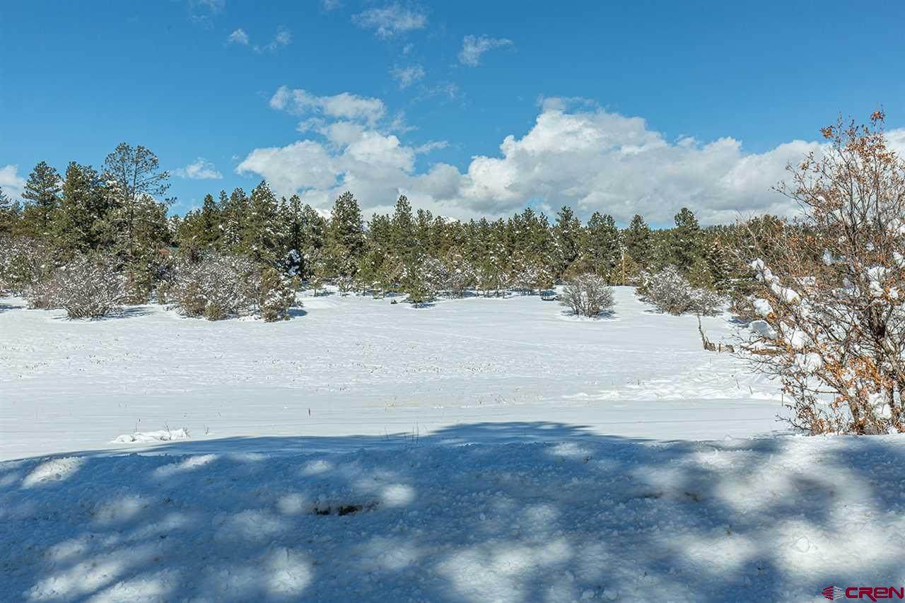 1073 Spring - Photo 1
