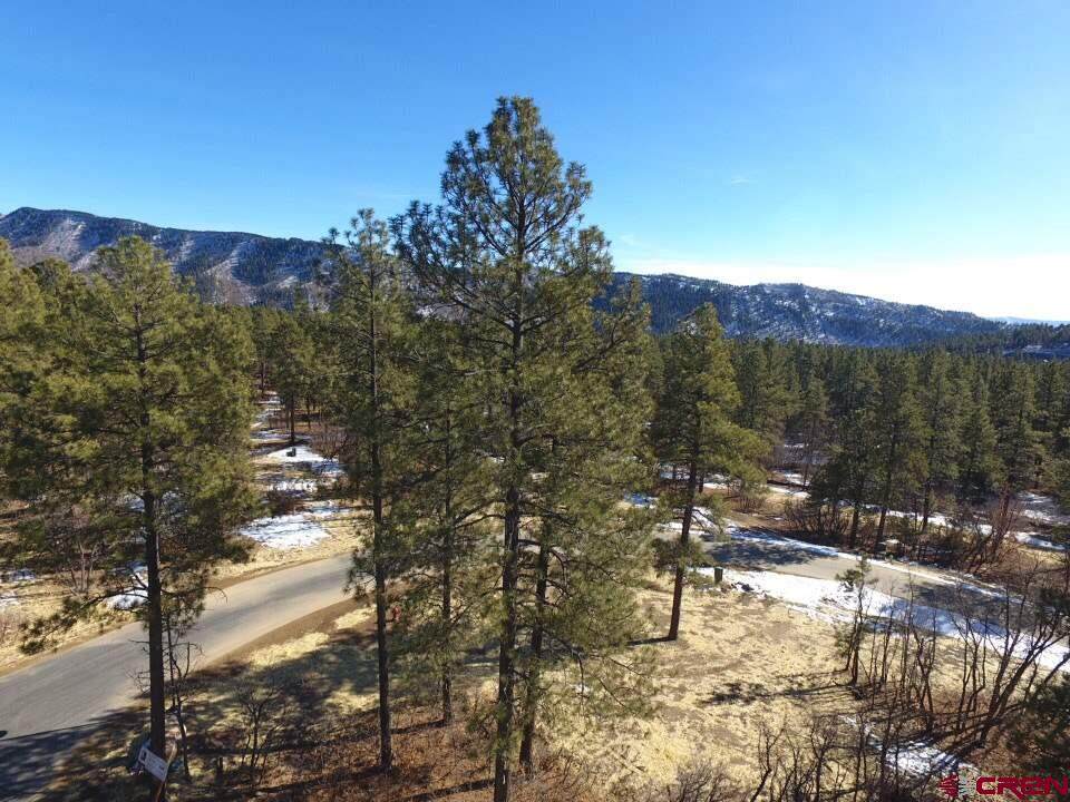 43 Terra Blue (Lot 24) Way - Photo 1