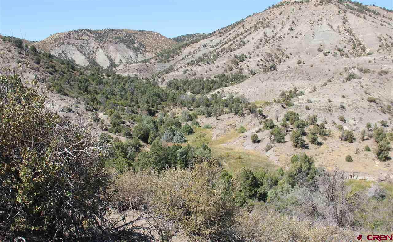 2930 Rancho Durango Road - Photo 1