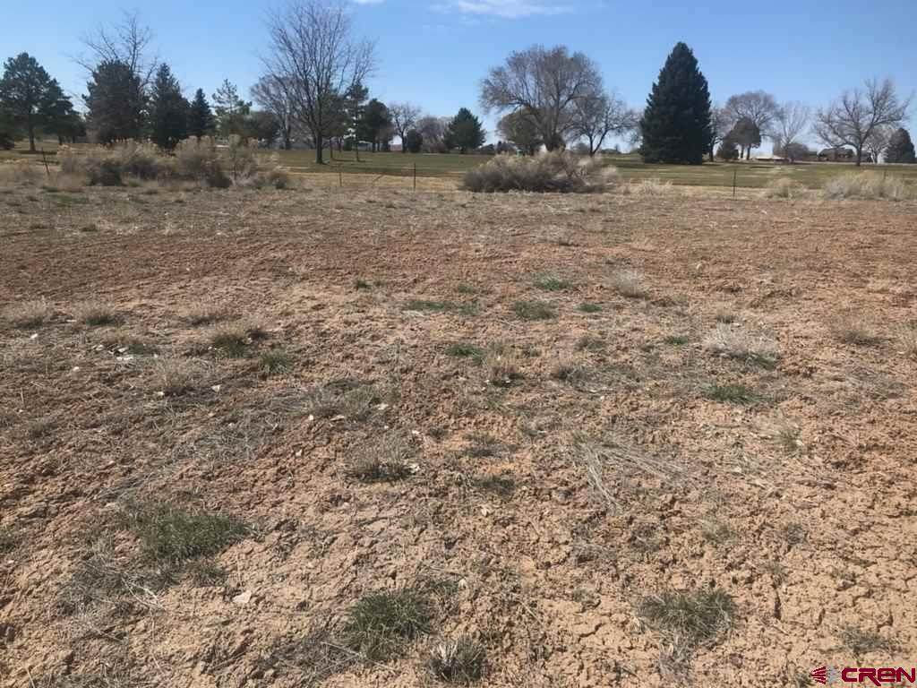 2503 Golf Course Lane - Photo 1