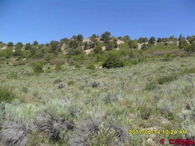 Lot 23 Lone Cone Ranch Sub-Div - Photo 1