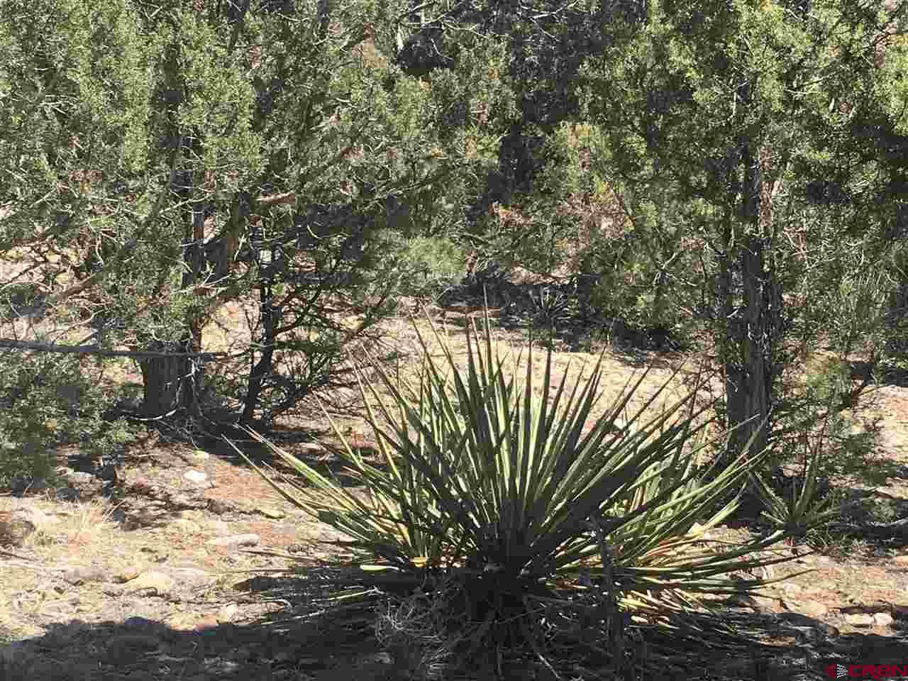17827 State Hwy 151 - Photo 1