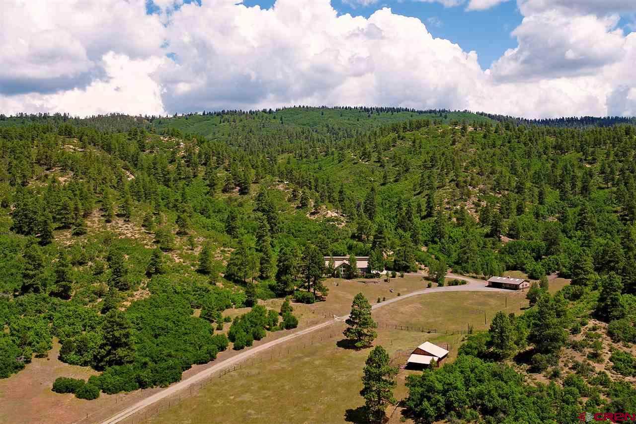 7091 County Road 228 - Photo 1