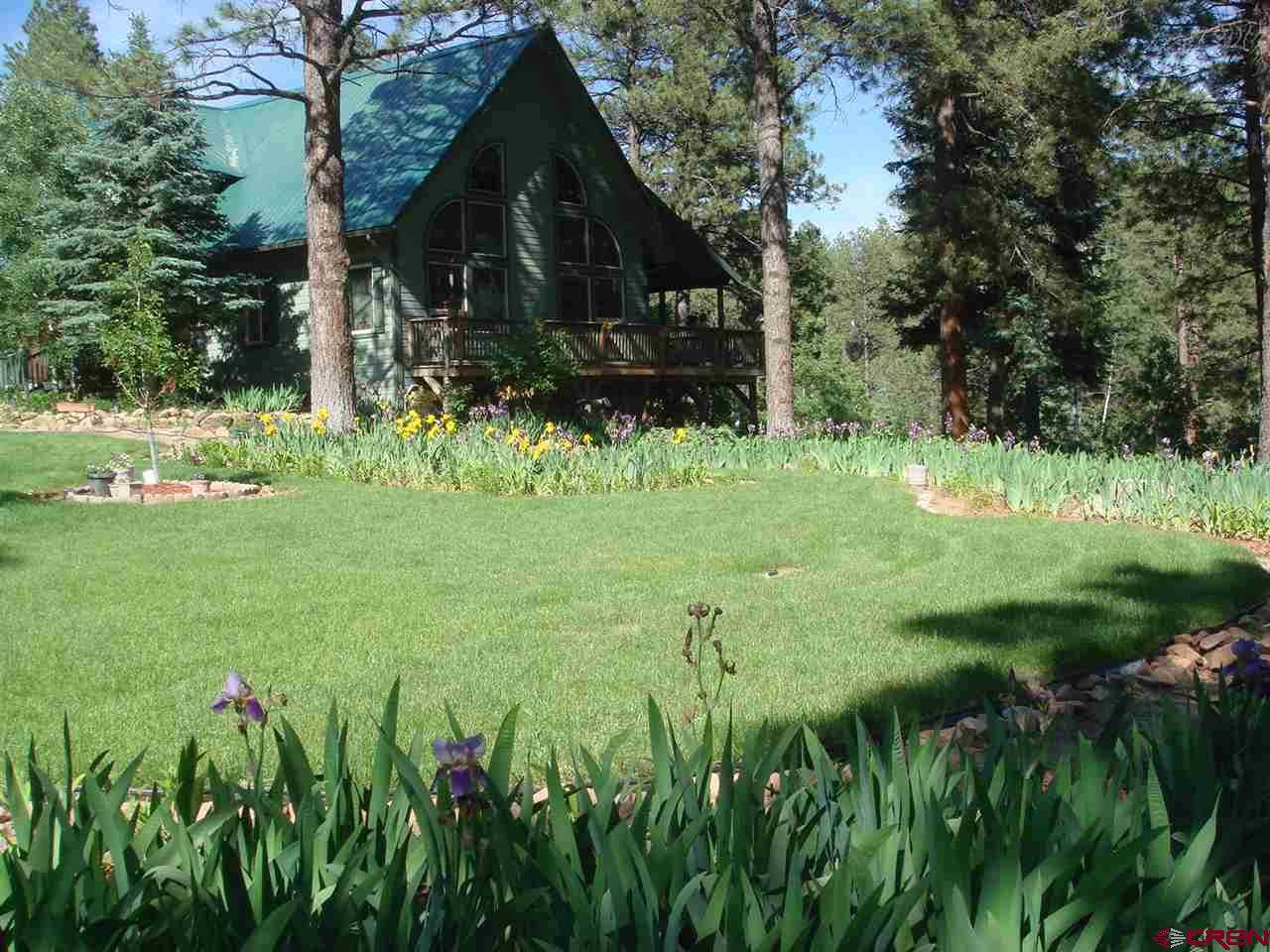 41 Perro Place - Photo 1