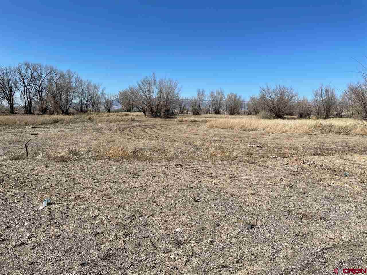 1001 Highway 50 Business Loop - Photo 1