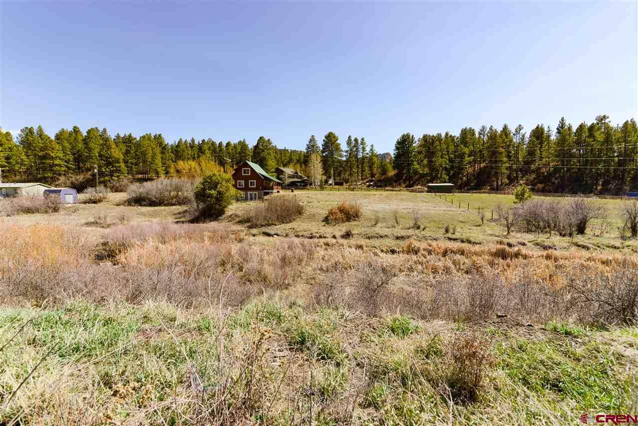 10200 Us Hwy 160 - Photo 1