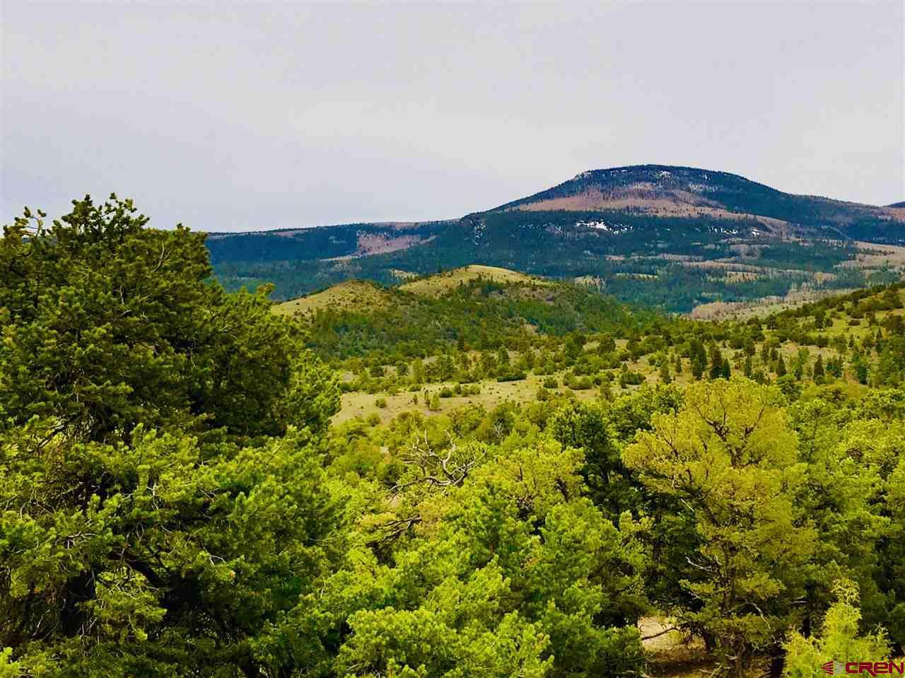 TBD Pinon Hills Road - Photo 1