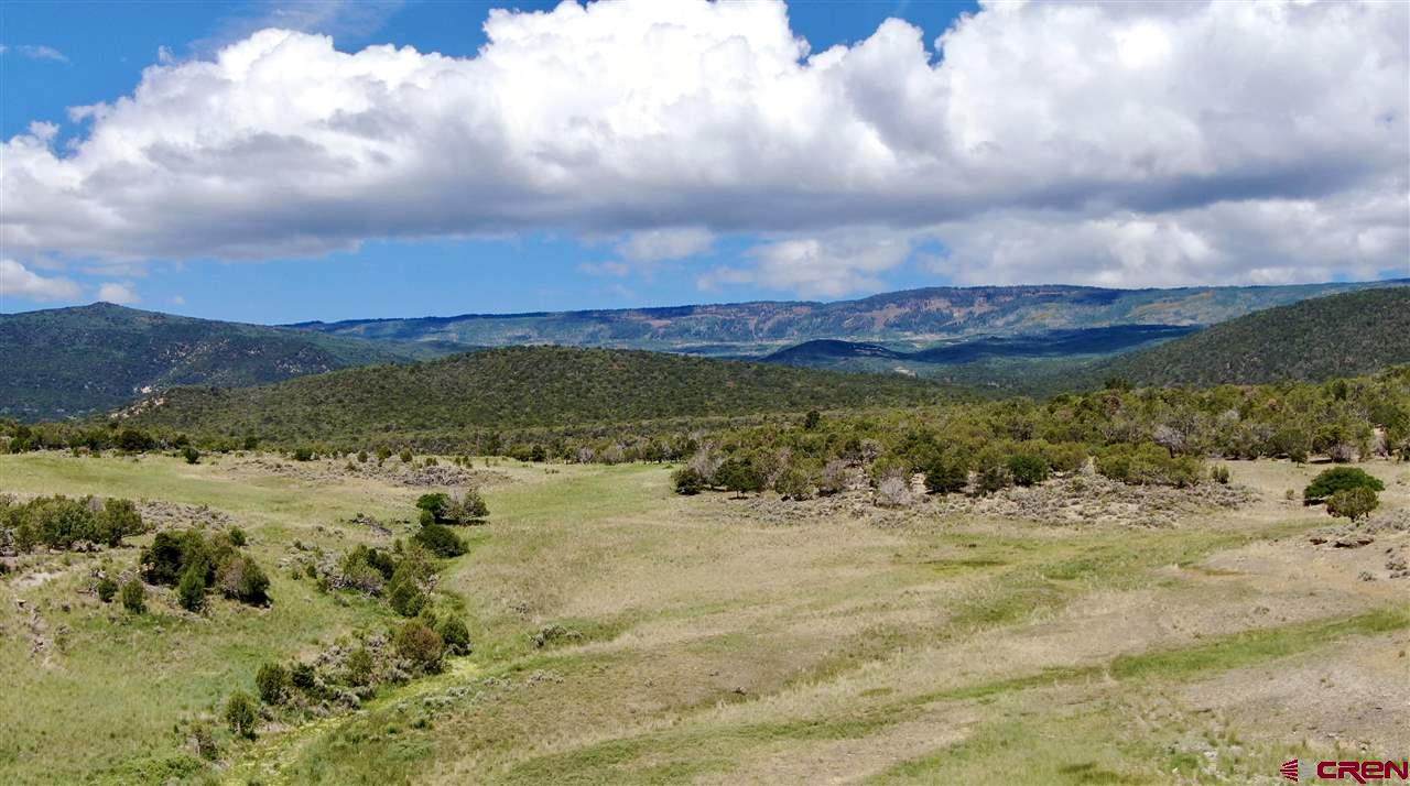 18028 George Creek Road - Photo 1
