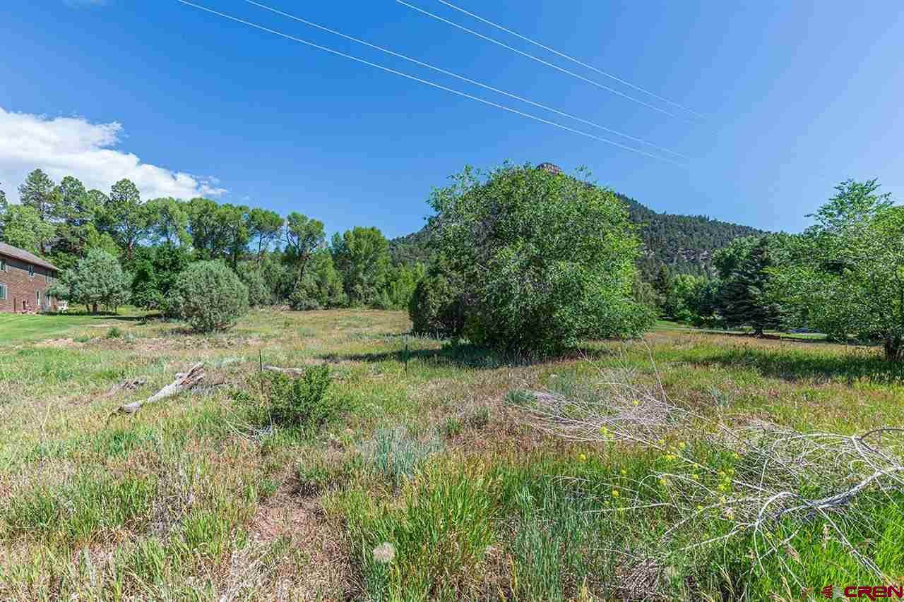 Lot 4 County Road 201 - Photo 1
