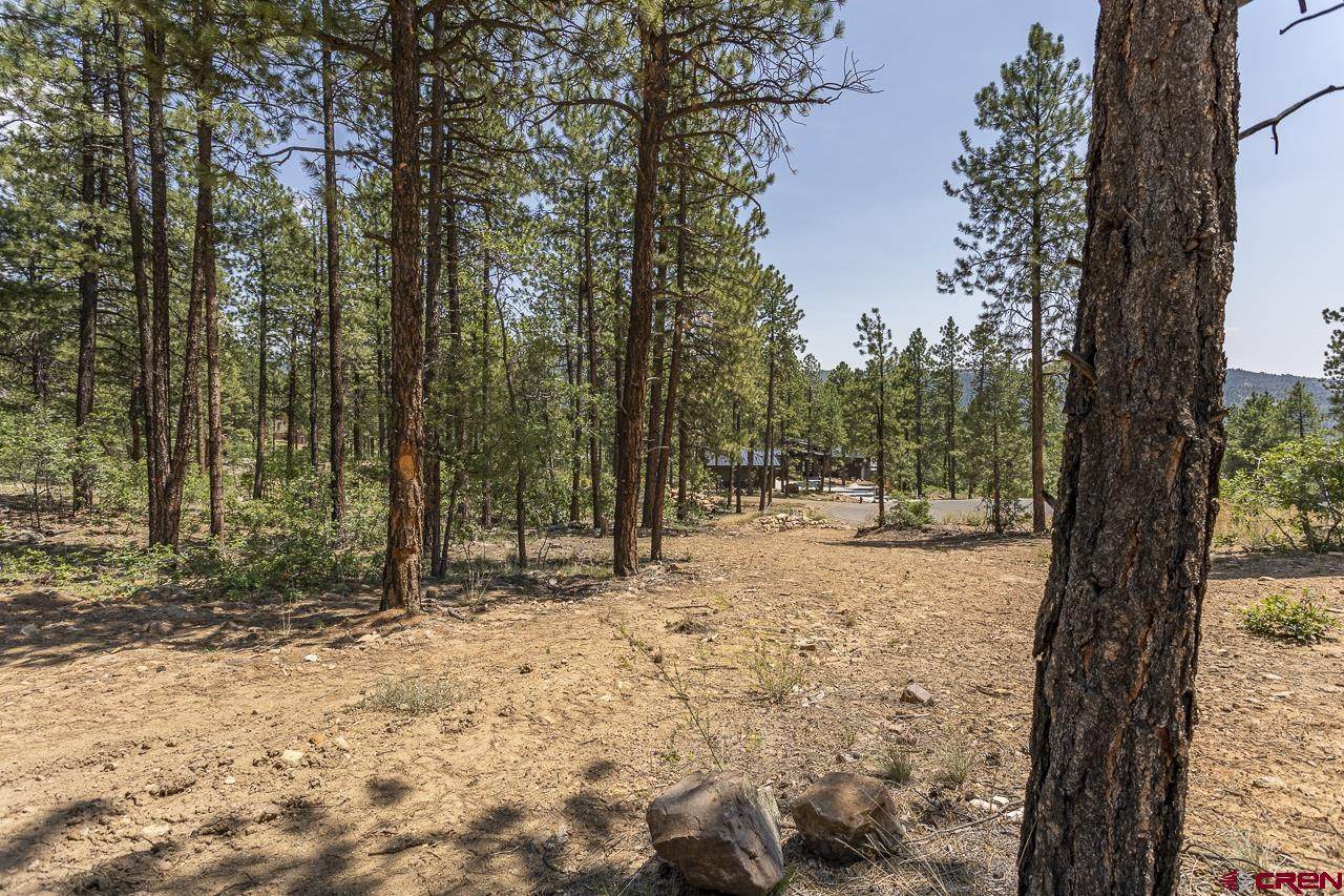 163 Boulder View Drive - Photo 1