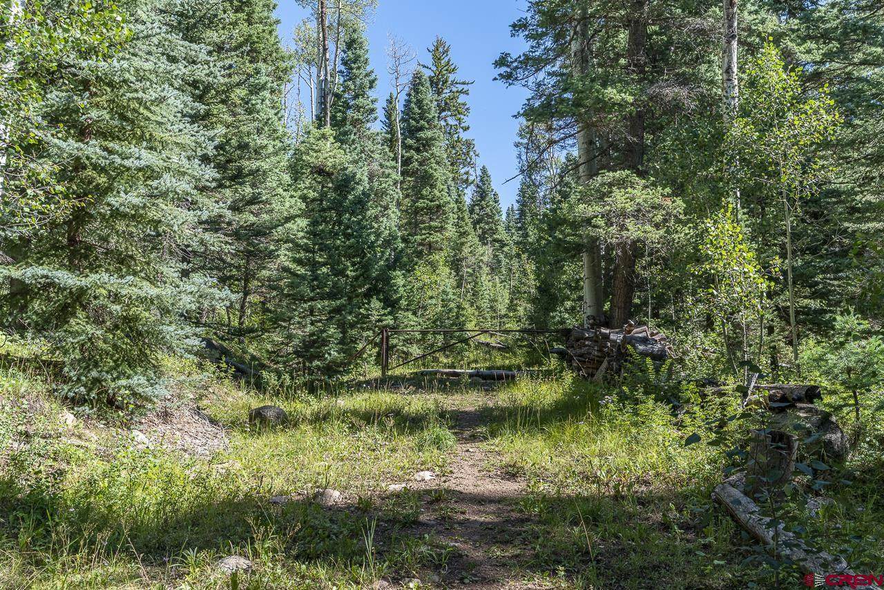 TBD Mccoy Creek Drive - Photo 1