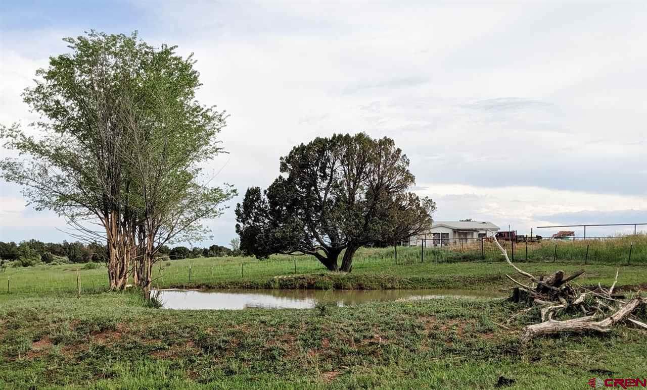 12 County Road 103A - Photo 1