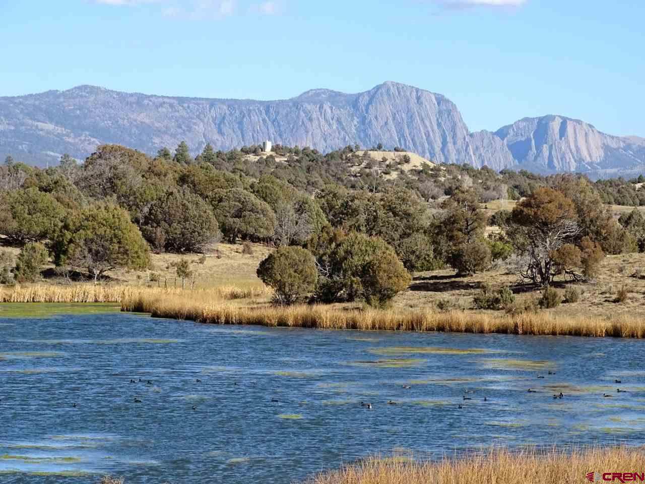 Hwy 95 Rutheron - Photo 1