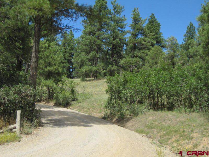 TBD Old Snag Circle - Photo 1