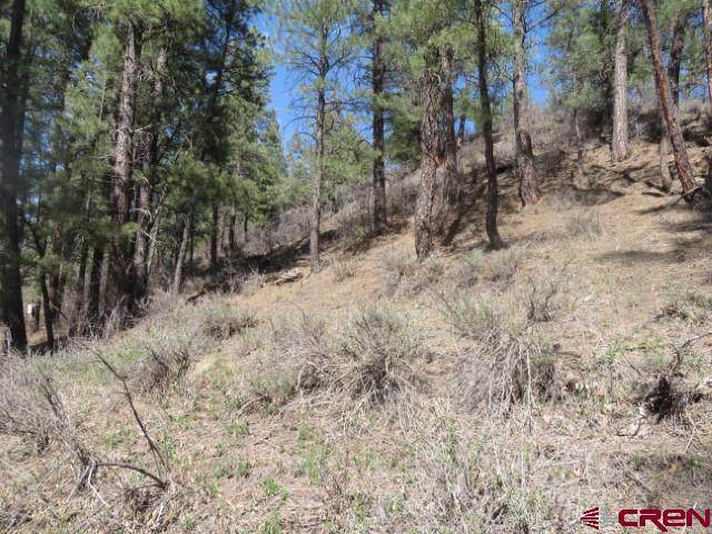 421 Raccoon Drive - Photo 1