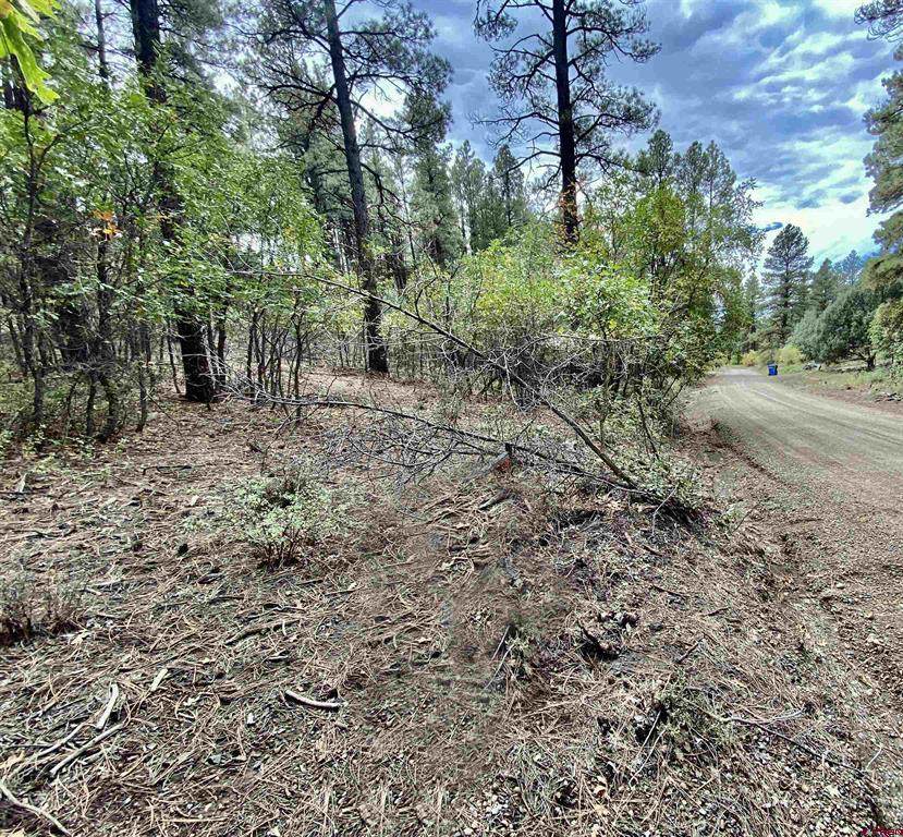 357 Jack Rabbit Road - Photo 1