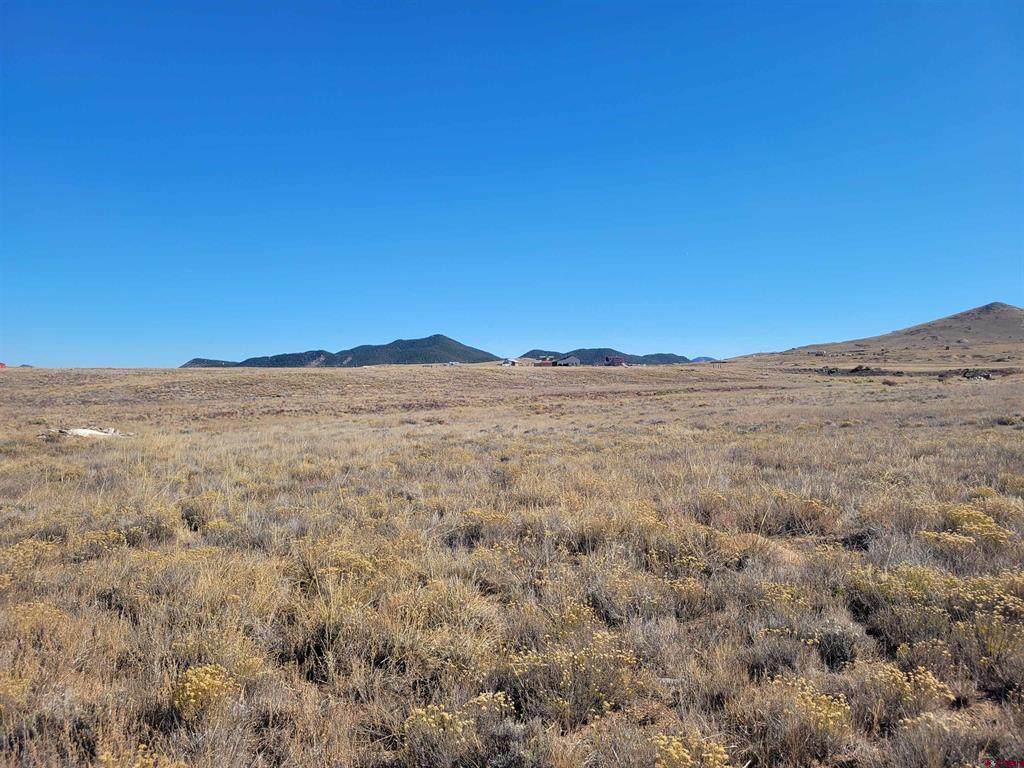 2426 County Road 243 Road - Photo 1