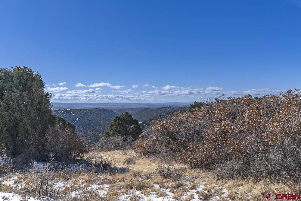 1862 Roberts Ridge Drive - Photo 1