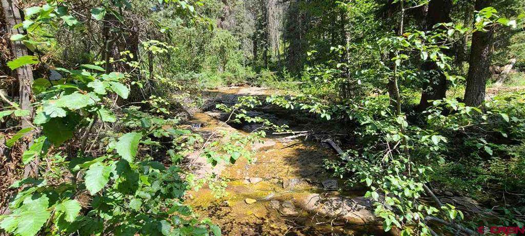 7 Mill Creek Lodge Estates - Photo 1