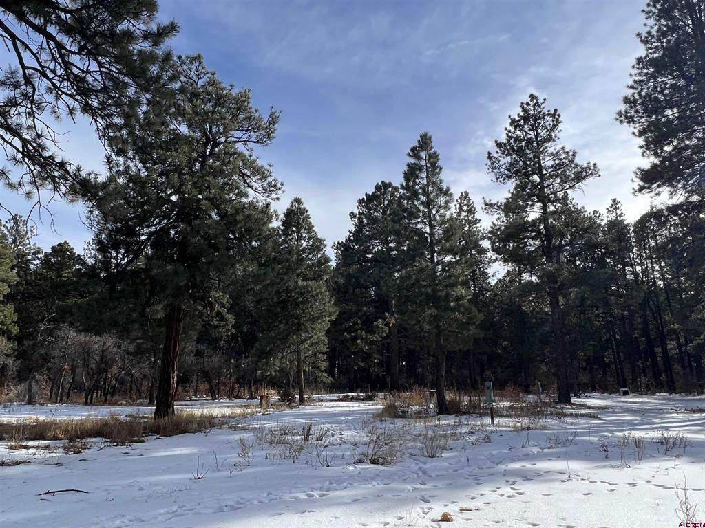 20558 St Hwy 140 - Photo 1