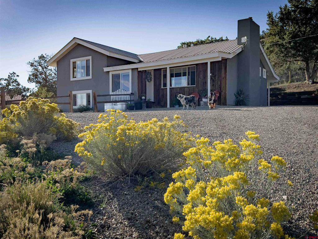41850 Highway 184 - Photo 1