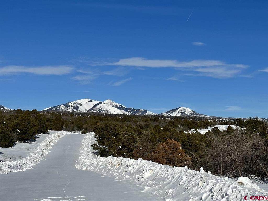 Lot 29 De Oro Way - Photo 1