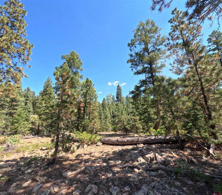 48 Ponderosa Way - Photo 1