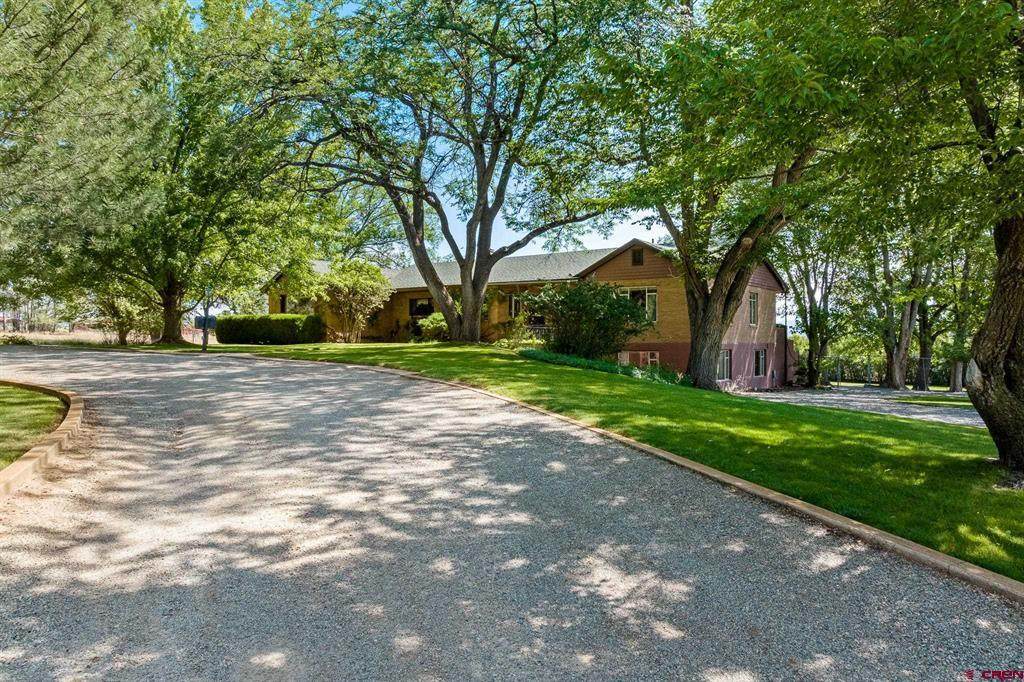 1300 Dolores Road - Photo 1