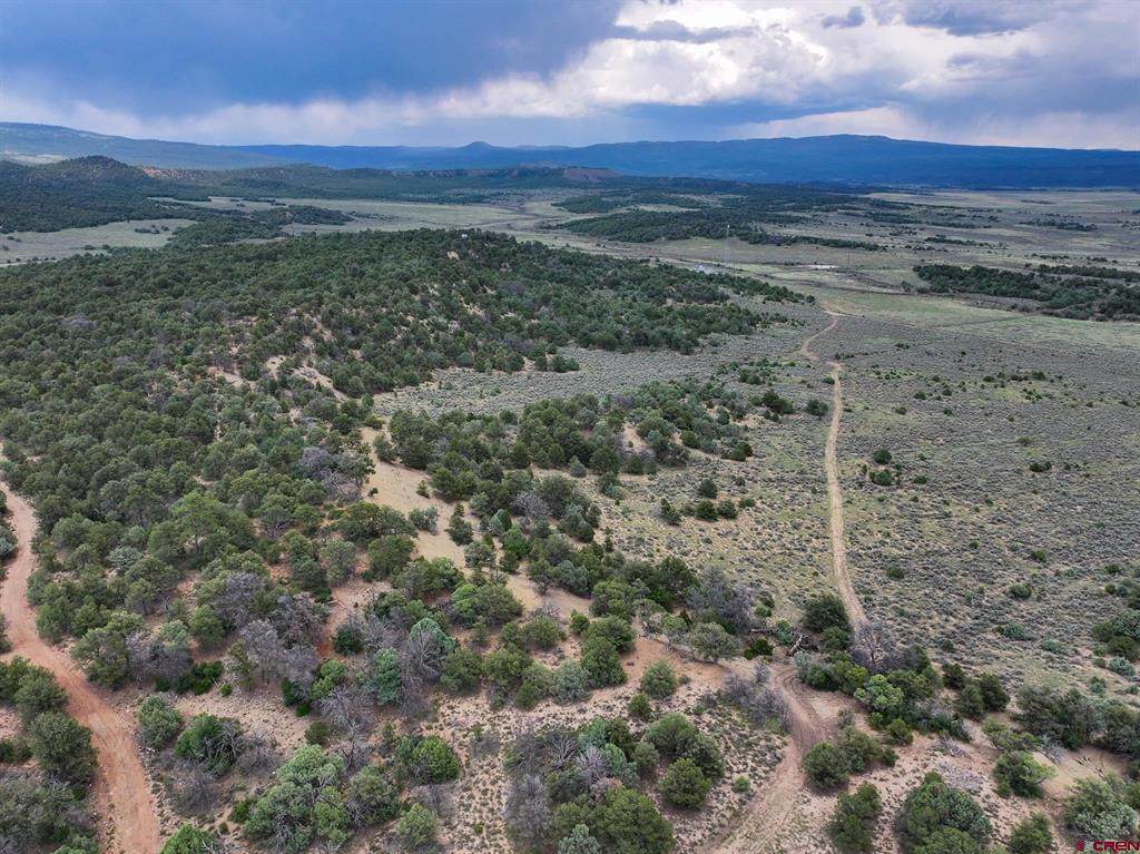 TBD Highway 84 - Photo 1