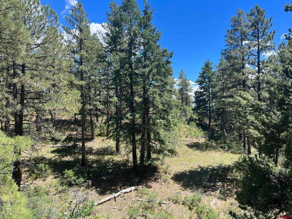 853 Ranchland Drive - Photo 1