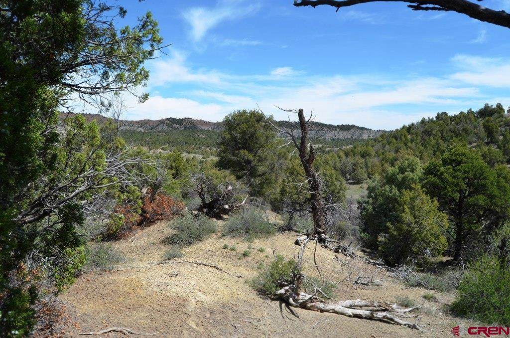 1479 La Posta Canyon Road - Photo 1