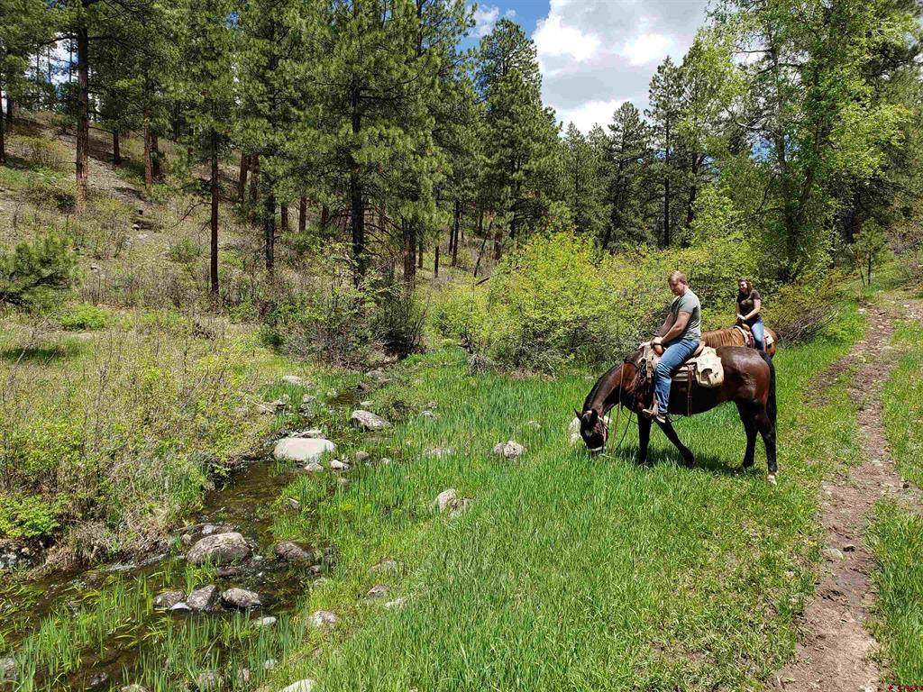 Majestic Outfitters - Photo 1