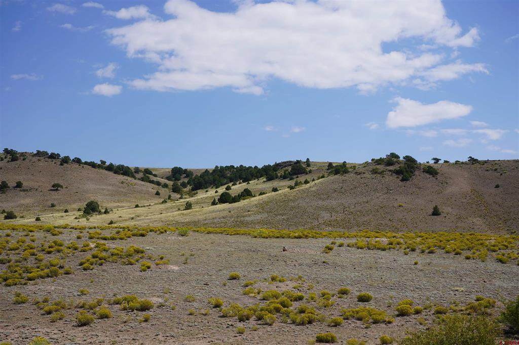 496 Pfieffer Loop - Photo 1