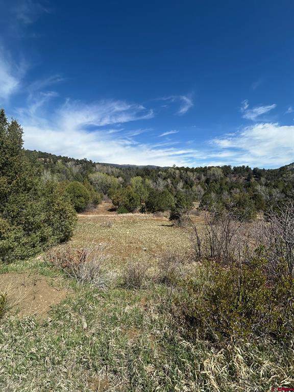 3119 Cr 234 - Photo 1