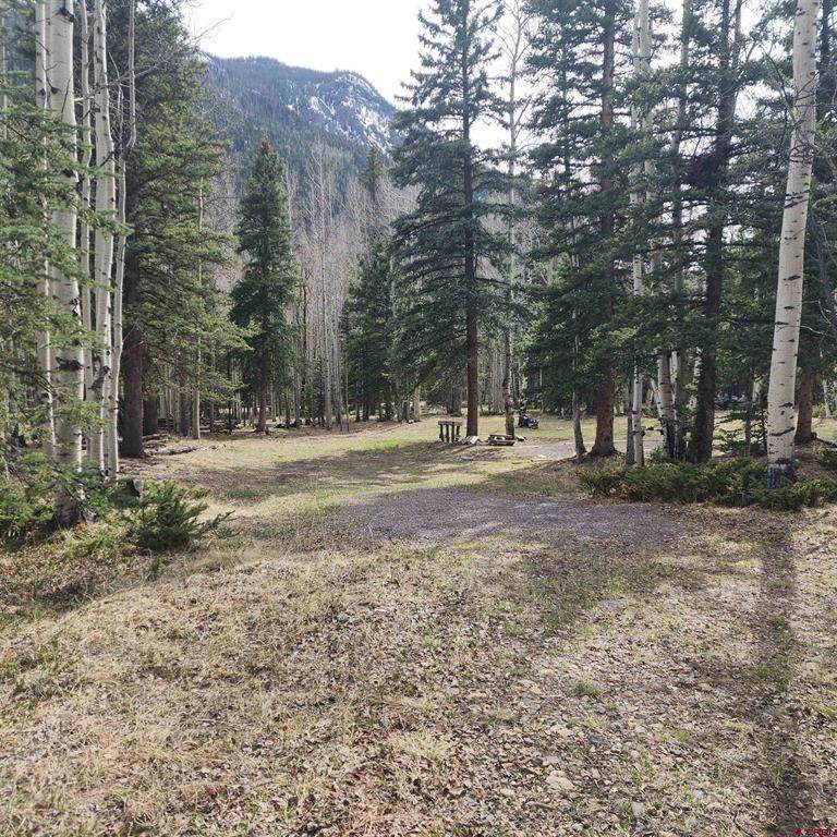 TBD Pagosa Avenue - Photo 1