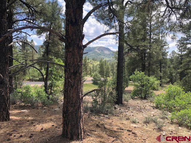 596 Ginger Circle - Photo 1