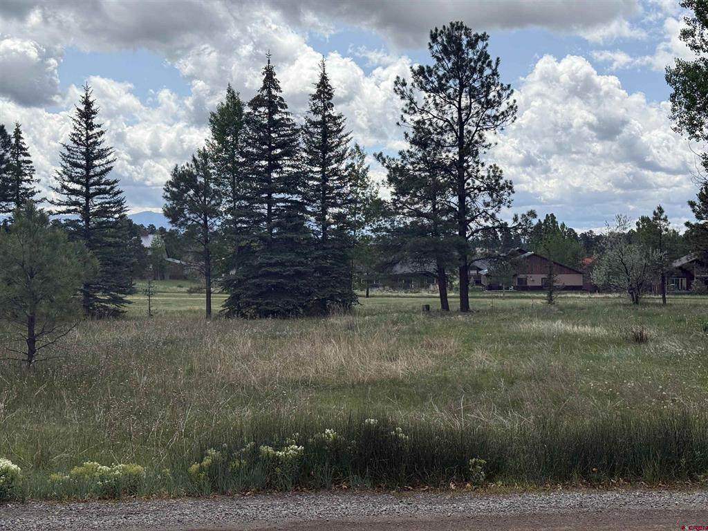 201 Pines Club Place - Photo 1