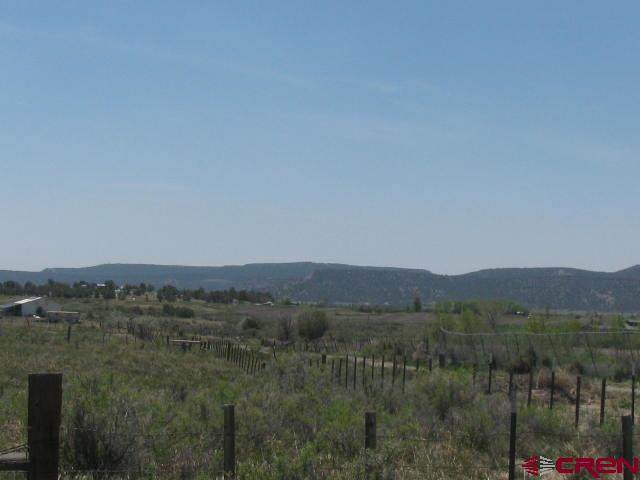 45 Country Meadows Place - Photo 1