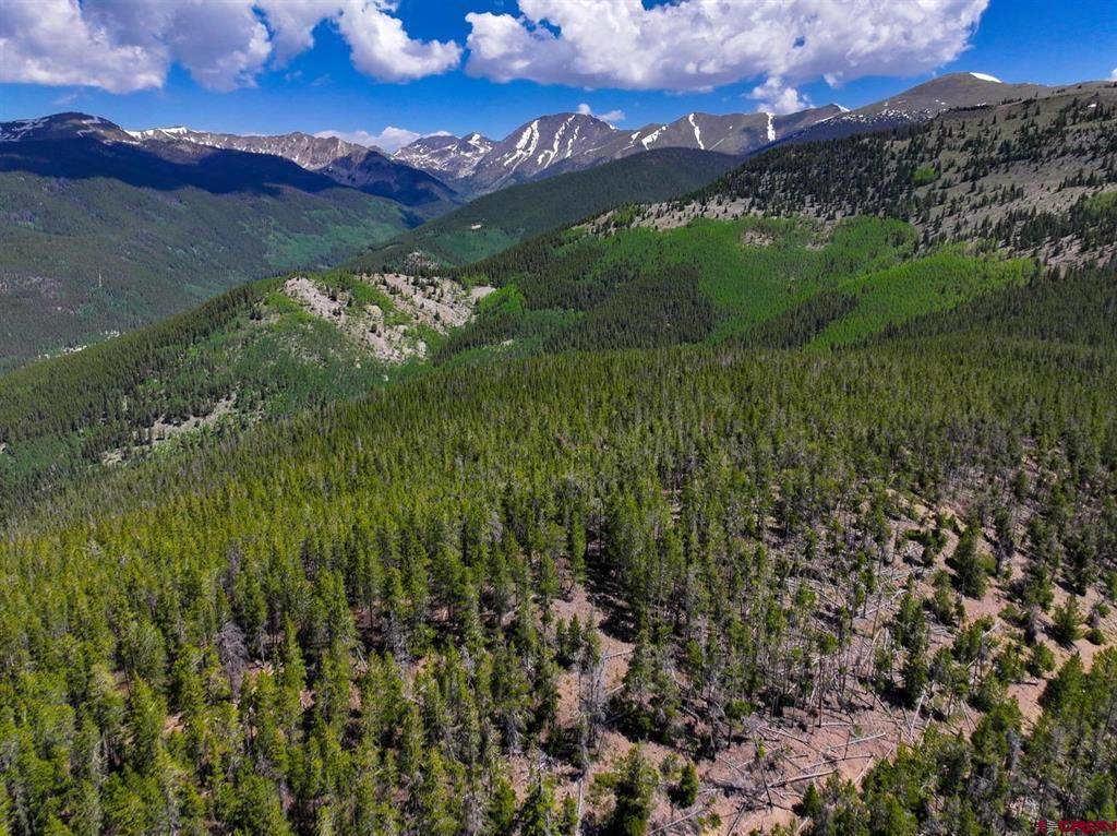 000 White Pine Upper Tomichi - Photo 1