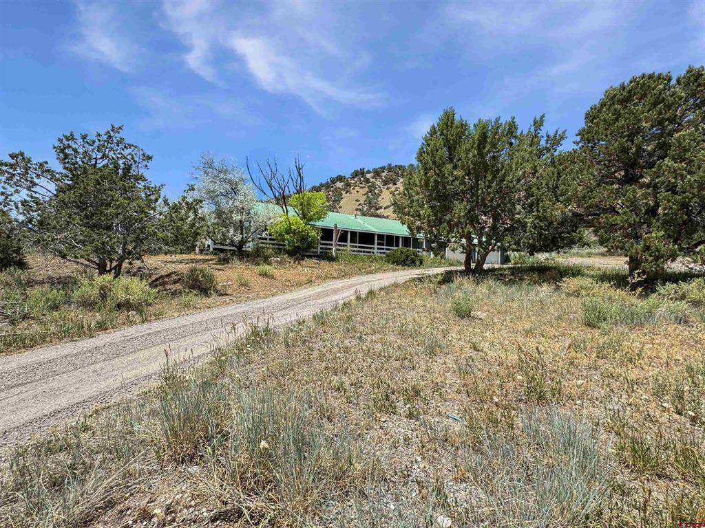 43157 Long Gulch Road - Photo 1