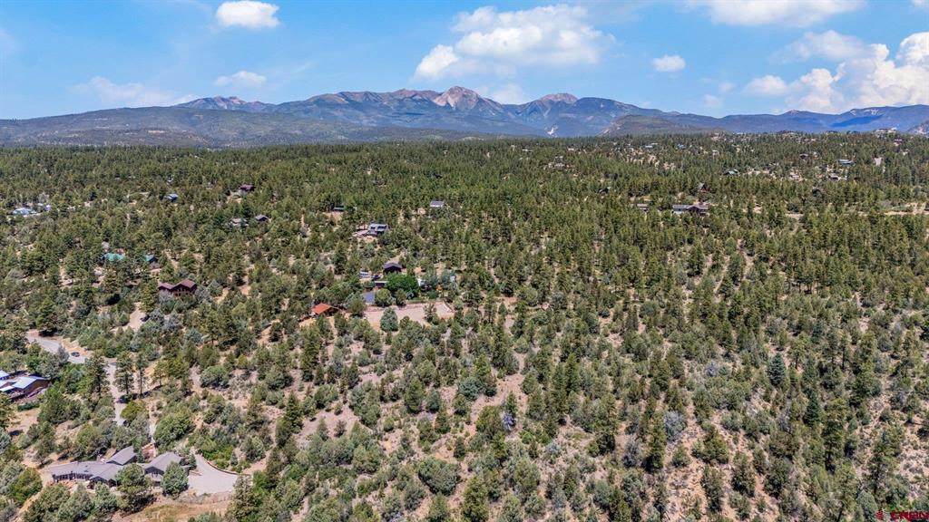 285 Logging Trail Road - Photo 1
