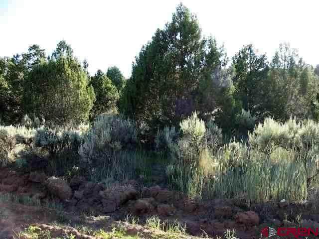 #10 Juniper Drive - Photo 1