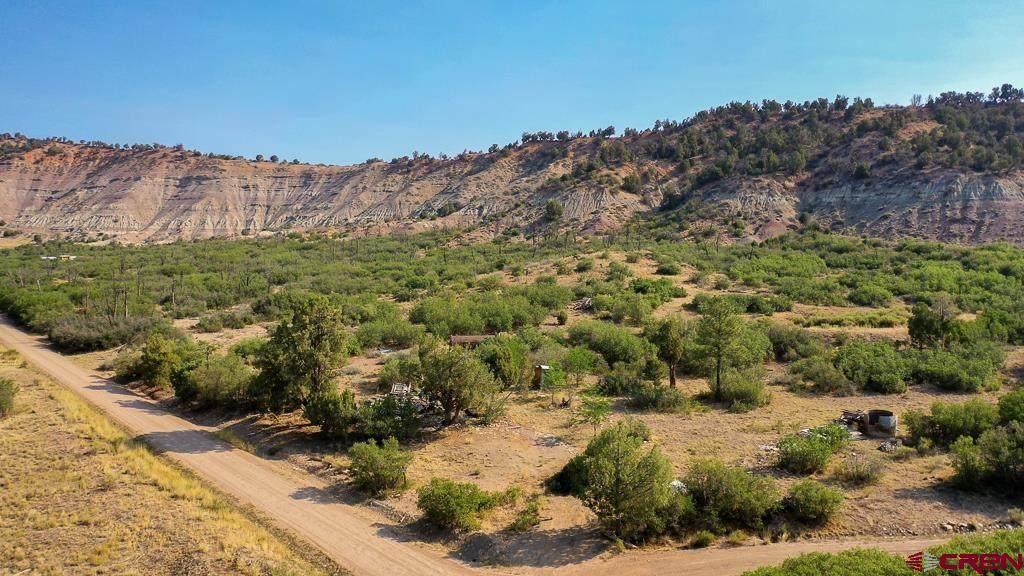 TBD La Posta Canyon Road - Photo 1