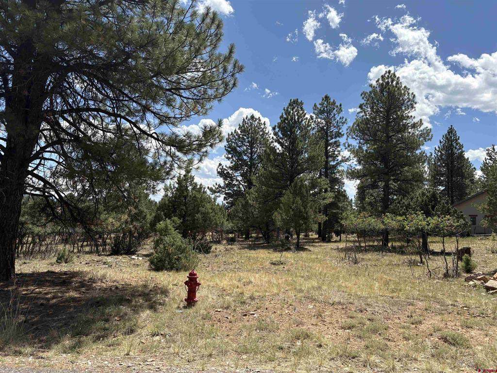 TBD326 Bear Cub Drive - Photo 1