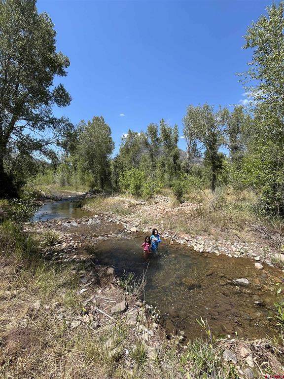 285 Albrecht Lane - Photo 1