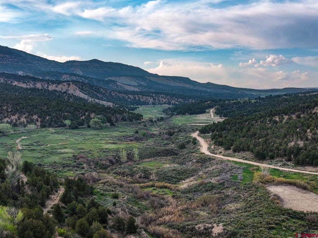 3217 County Rd 41 - Photo 1