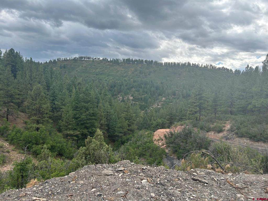 17235 Hwy 160 - Photo 1