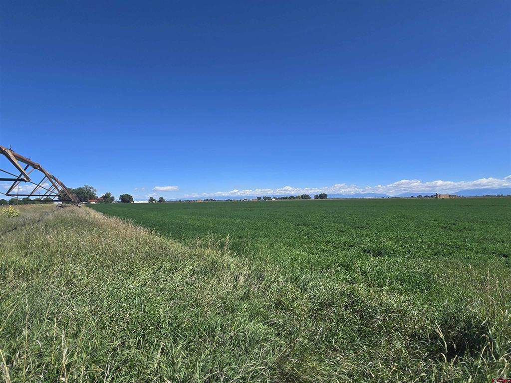 TBD County Road 4 E - Photo 1