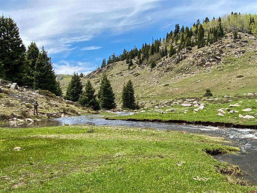 TBD Buckman Road - Photo 1