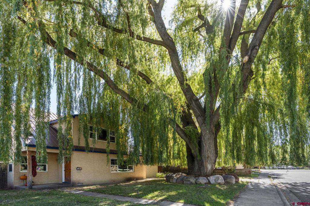 2504 3rd Avenue - Photo 1